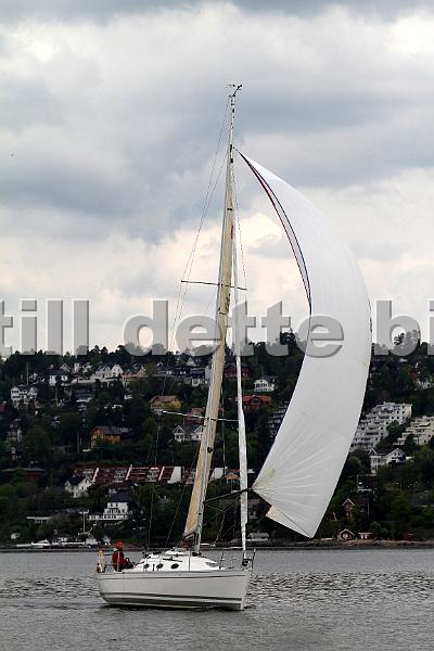 Bundefjorden2012 046.jpg